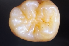 FfYHGxangJFq1wSFjNxV6jIn-Rke3vu76MQtLG8291w__4Ss2h46587