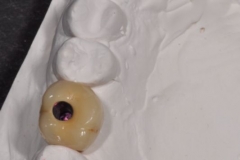 OIYsRfuuhVrp9Er8LqTeAcmAEHOZGhOJiLI9JQpTlRw__7t16D13951